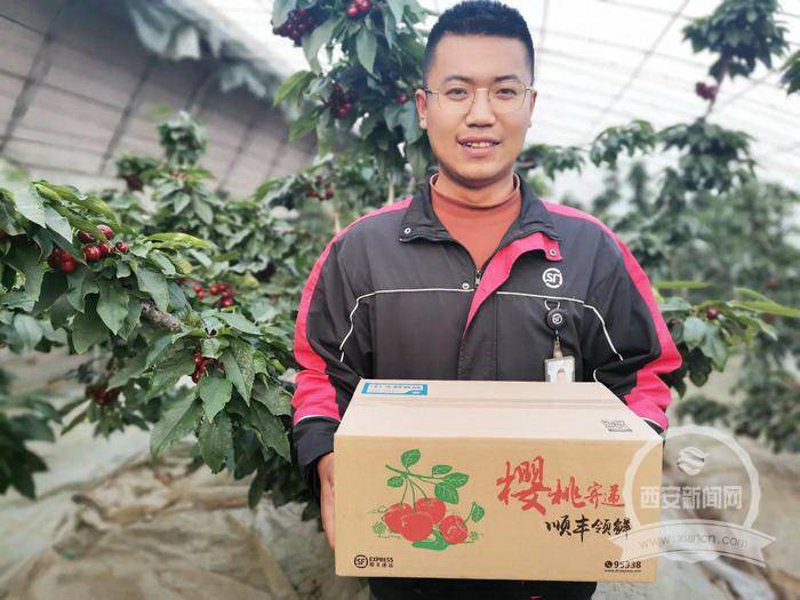 海口水果批发采购指南：热带果品货源、一件代发与供应链全解析